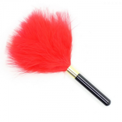 Luxury Feather Tickler